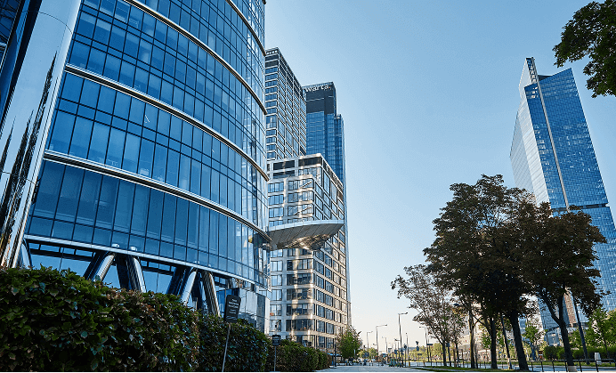 Specialize Grow Up Business